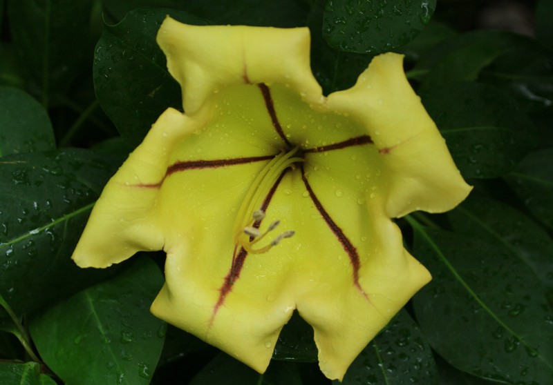 c0104227_0154878.jpg