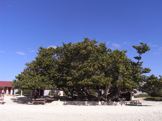 f0169328_0124233.jpg