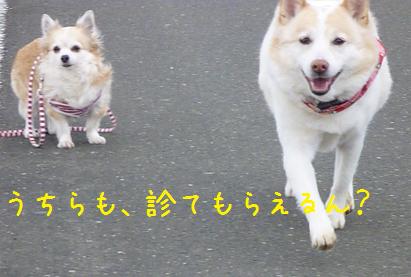 b0138430_20102295.jpg