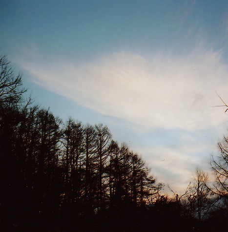 f0236733_2292885.jpg