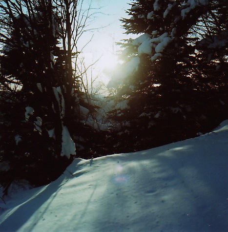 f0236733_2294658.jpg
