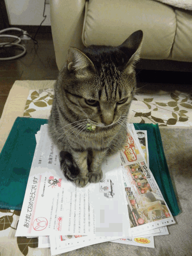 c0136736_21534471.gif