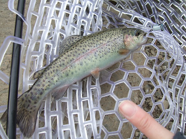 c0208836_21132515.jpg