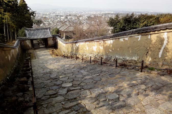 c0184737_20421223.jpg