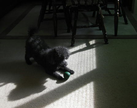 c0117239_647348.jpg