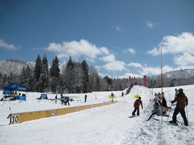 f0184543_15461595.jpg
