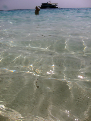 e0027447_23362813.jpg