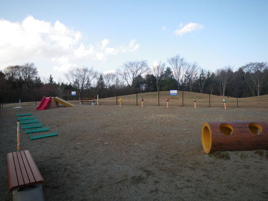 f0046250_0532532.jpg