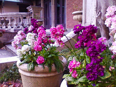 f0176458_20414375.jpg