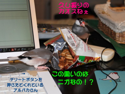 b0158061_21363199.jpg