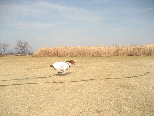 e0106372_2155254.jpg