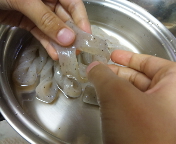 f0237680_2192976.jpg