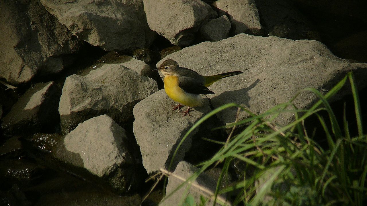a0185081_11182446.jpg