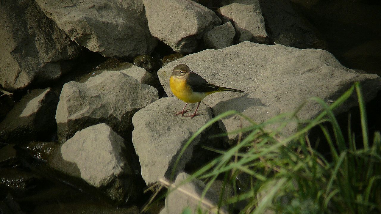 a0185081_1118695.jpg