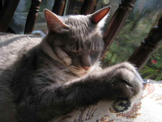 c0132387_2337517.jpg