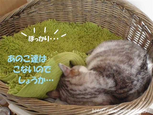 a0159490_15444071.jpg