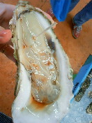 f0079890_18172931.jpg