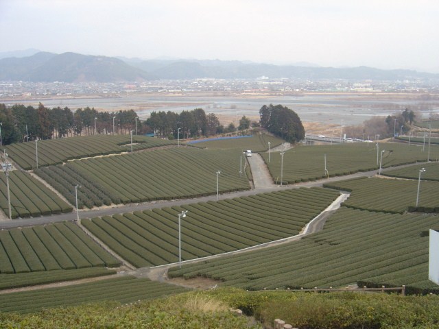 d0212491_17275423.jpg
