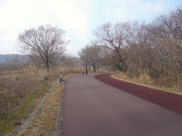 d0212491_187533.jpg