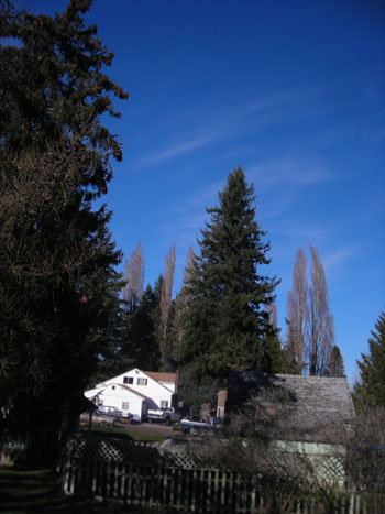 d0000995_18342189.jpg