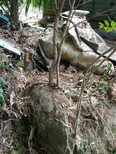 e0017396_23104868.jpg