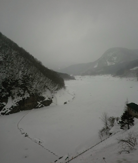 a0138198_9504382.jpg