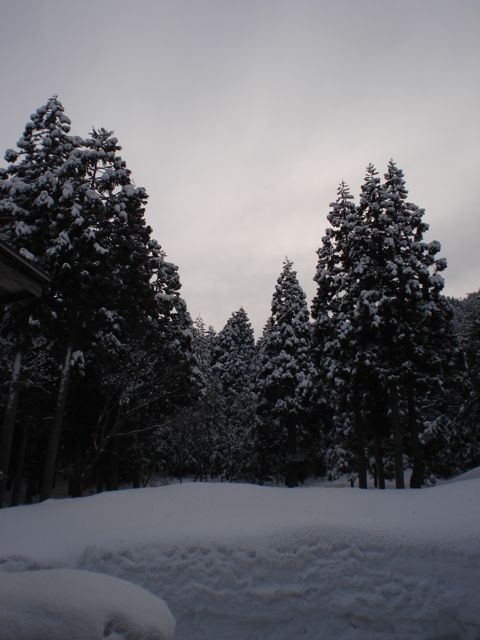 a0061599_7544594.jpg