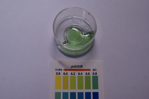 a0183301_19145476.jpg