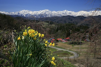 a0188405_1455459.jpg