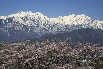 a0188405_14572529.jpg