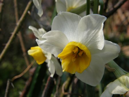 b0061107_20114740.jpg