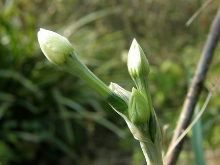 b0061107_2012487.jpg