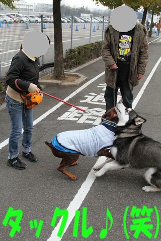e0100007_21425362.jpg