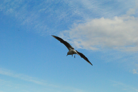 e0224407_229551.jpg