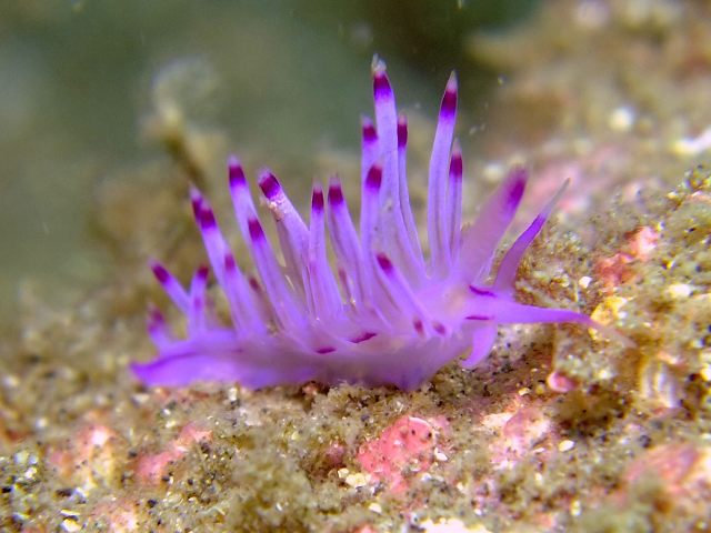 d0175710_21582870.jpg