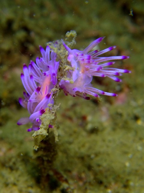 d0175710_21584178.jpg