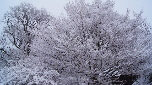 f0233414_22112392.jpg