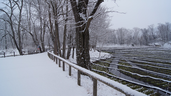f0233414_22115280.jpg