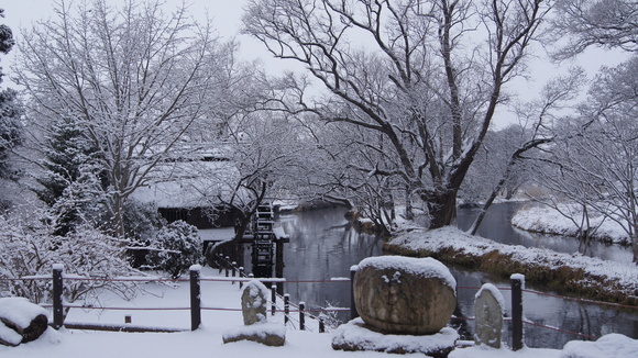f0233414_2215350.jpg