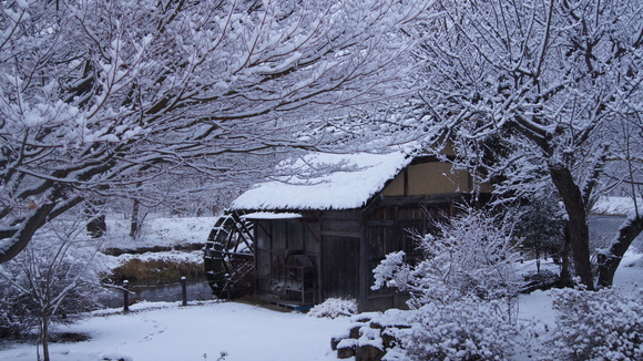 f0233414_22183932.jpg