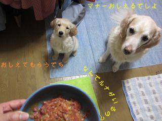b0008217_21381256.jpg