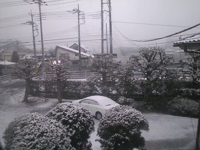 c0003217_8265875.jpg