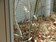 f0191517_10255691.jpg