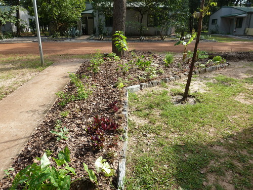 b0208620_16501735.jpg