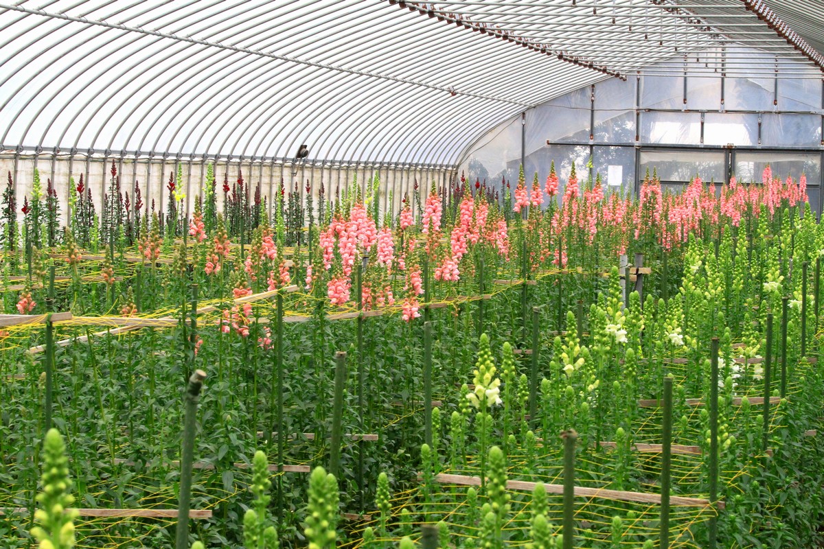 c0104227_1542213.jpg