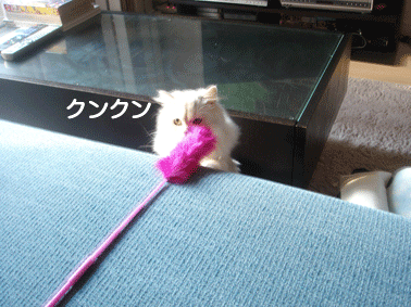 e0157129_1753662.gif
