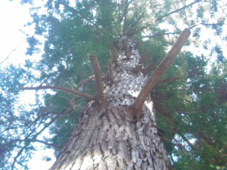 e0201238_1232337.jpg