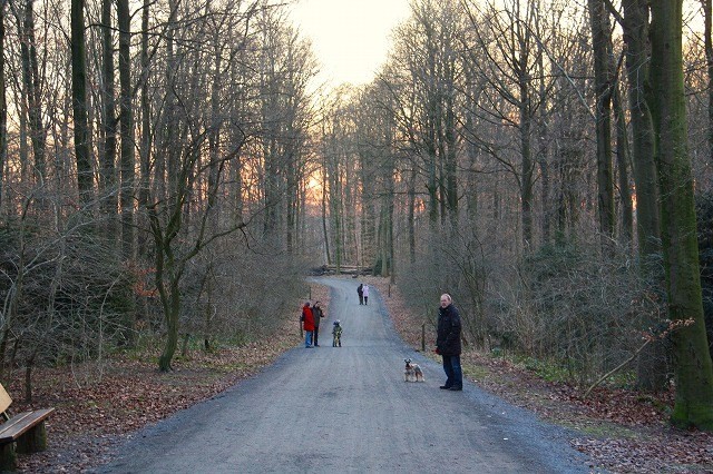 c0153740_55152.jpg