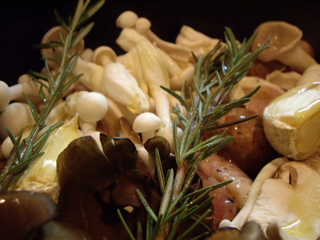 e0098547_1402658.jpg