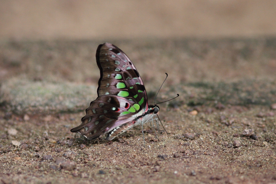 a0094850_14492842.jpg
